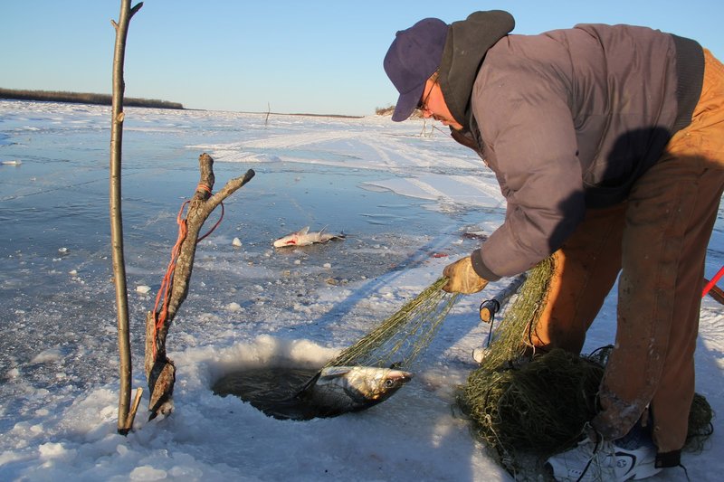 Overview of ice fishing demo